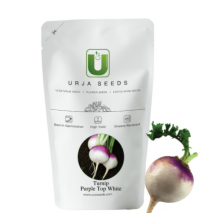 Turnip / Salgam OP Purple Top White 10 grams
